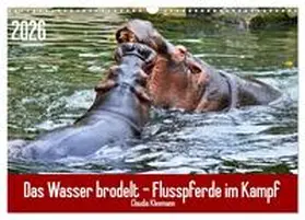 Kleemann / CALVENDO |  Das Wasser brodelt - Flusspferde im Kampf (Wandkalender 2026 DIN A3 quer), CALVENDO Monatskalender | Sonstiges |  Sack Fachmedien