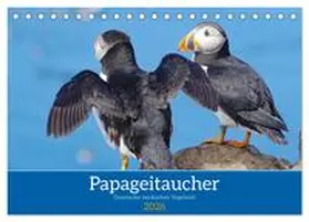 Pantke / CALVENDO |  Papageitaucher - Clowns der nordischen Vogelwelt (Tischkalender 2026 DIN A5 quer), CALVENDO Monatskalender | Sonstiges |  Sack Fachmedien