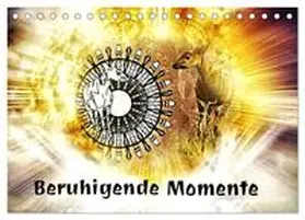 Rufebo / CALVENDO |  Mandalas 2026 - Beruhigende Momente (Tischkalender 2026 DIN A5 quer), CALVENDO Monatskalender | Sonstiges |  Sack Fachmedien