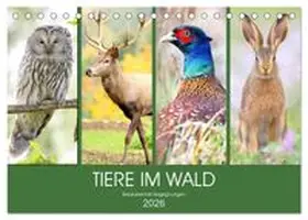 CALVENDO / Hurley |  Tiere im Wald. Bezaubernde Begegnungen (Tischkalender 2026 DIN A5 quer), CALVENDO Monatskalender | Sonstiges |  Sack Fachmedien