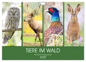 CALVENDO / Hurley |  Tiere im Wald. Bezaubernde Begegnungen (Wandkalender 2026 DIN A4 quer), CALVENDO Monatskalender | Sonstiges |  Sack Fachmedien