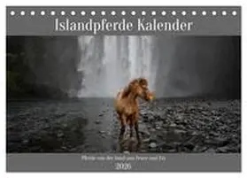 Voth / CALVENDO |  Islandpferde Kalender - Pferde von der Insel aus Feuer und Eis (Tischkalender 2026 DIN A5 quer), CALVENDO Monatskalender | Sonstiges |  Sack Fachmedien