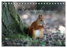 Fuchs / CALVENDO |  Bewohner des Rebstockparks Frankfurt am Main (Tischkalender 2026 DIN A5 quer), CALVENDO Monatskalender | Sonstiges |  Sack Fachmedien