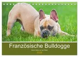 Starick / CALVENDO |  Französische Bulldogge - Kleine Helden auf vier Pfoten (Tischkalender 2026 DIN A5 quer), CALVENDO Monatskalender | Sonstiges |  Sack Fachmedien