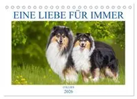 Starick / CALVENDO |  Eine Liebe für immer - Collies (Tischkalender 2026 DIN A5 quer), CALVENDO Monatskalender | Sonstiges |  Sack Fachmedien