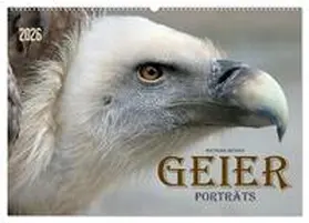 Besant / CALVENDO |  GEIERPORTRÄTS (Wandkalender 2026 DIN A2 quer), CALVENDO Monatskalender | Sonstiges |  Sack Fachmedien