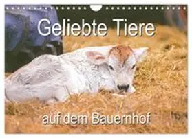 CALVENDO / Vahldiek |  Geliebte Tiere auf dem Bauernhof (Wandkalender 2026 DIN A4 quer), CALVENDO Monatskalender | Sonstiges |  Sack Fachmedien