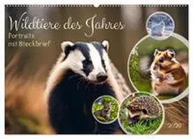 Kleemann / CALVENDO |  Wildtiere des Jahres (Wandkalender 2026 DIN A2 quer), CALVENDO Monatskalender | Sonstiges |  Sack Fachmedien