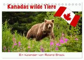 Brack / CALVENDO |  Kanadas Wilde Tiere (Tischkalender 2026 DIN A5 quer), CALVENDO Monatskalender | Sonstiges |  Sack Fachmedien