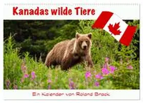 Brack / CALVENDO |  Kanadas Wilde Tiere (Wandkalender 2026 DIN A2 quer), CALVENDO Monatskalender | Sonstiges |  Sack Fachmedien