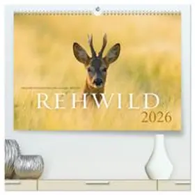 CALVENDO / Breuer |  Rehwild 2026 (hochwertiger Premium Wandkalender 2026 DIN A2 quer), Kunstdruck in Hochglanz | Sonstiges |  Sack Fachmedien