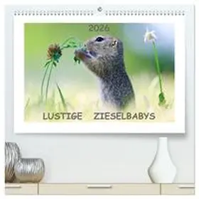 Lang / CALVENDO |  Lustige Zieselbabys (hochwertiger Premium Wandkalender 2026 DIN A2 quer), Kunstdruck in Hochglanz | Sonstiges |  Sack Fachmedien