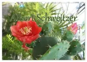CALVENDO / Lindner (Fotos) |  Albert Schweitzer Zitate (Wandkalender 2026 DIN A3 quer), CALVENDO Monatskalender | Sonstiges |  Sack Fachmedien