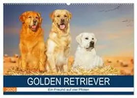Starick / CALVENDO |  Golden Retriever - Ein Freund auf vier Pfoten (Wandkalender 2026 DIN A2 quer), CALVENDO Monatskalender | Sonstiges |  Sack Fachmedien