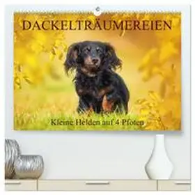 Starick / CALVENDO |  Dackelträumereien - Kleine Helden auf 4 Pfoten (hochwertiger Premium Wandkalender 2026 DIN A2 quer), Kunstdruck in Hochglanz | Sonstiges |  Sack Fachmedien