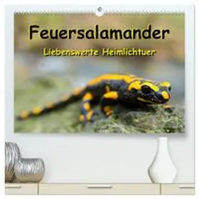 Vahldiek / CALVENDO |  Feuersalamander - Liebenswerte Heimlichtuer (hochwertiger Premium Wandkalender 2026 DIN A2 quer), Kunstdruck in Hochglanz | Sonstiges |  Sack Fachmedien