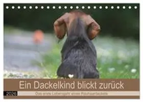 CALVENDO / Mielewczyk |  Ein Dackelkind blickt zurück (Tischkalender 2026 DIN A5 quer), CALVENDO Monatskalender | Sonstiges |  Sack Fachmedien