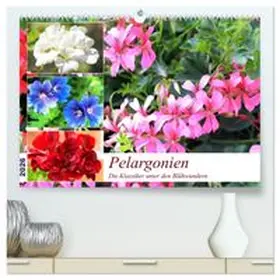 CALVENDO / Hurley |  Pelargonien. Die Klassiker unter den Blühwundern (hochwertiger Premium Wandkalender 2026 DIN A2 quer), Kunstdruck in Hochglanz | Sonstiges |  Sack Fachmedien