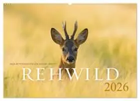 CALVENDO / Breuer |  Rehwild 2026 (Wandkalender 2026 DIN A2 quer), CALVENDO Monatskalender | Sonstiges |  Sack Fachmedien
