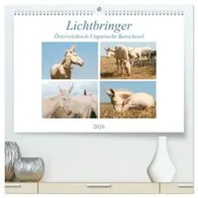 Bölts / CALVENDO |  Lichtbringer - Österreichisch-Ungarische Barockesel (hochwertiger Premium Wandkalender 2026 DIN A2 quer), Kunstdruck in Hochglanz | Sonstiges |  Sack Fachmedien