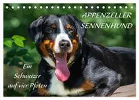 Starick / CALVENDO |  Appenzeller Sennenhund - Ein Schweizer auf 4 Pfoten (Tischkalender 2026 DIN A5 quer), CALVENDO Monatskalender | Sonstiges |  Sack Fachmedien