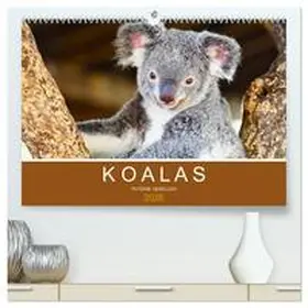 Styppa / CALVENDO |  Koalas, putzige Gesellen (hochwertiger Premium Wandkalender 2026 DIN A2 quer), Kunstdruck in Hochglanz | Sonstiges |  Sack Fachmedien
