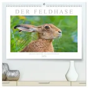 CALVENDO / Breuer |  Der Feldhase (hochwertiger Premium Wandkalender 2026 DIN A2 quer), Kunstdruck in Hochglanz | Sonstiges |  Sack Fachmedien