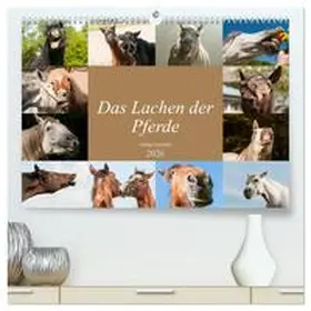 Bölts / CALVENDO |  Das Lachen der Pferde - Lustige Gesichter (hochwertiger Premium Wandkalender 2026 DIN A2 quer), Kunstdruck in Hochglanz | Sonstiges |  Sack Fachmedien