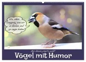 CALVENDO / Löwer |  Vögel mit Humor (Wandkalender 2026 DIN A2 quer), CALVENDO Monatskalender | Sonstiges |  Sack Fachmedien