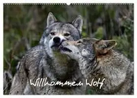 Trapp / CALVENDO |  Willkommen Wolf (Wandkalender 2026 DIN A2 quer), CALVENDO Monatskalender | Sonstiges |  Sack Fachmedien