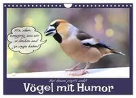 Löwer / CALVENDO |  Vögel mit Humor (Wandkalender 2026 DIN A4 quer), CALVENDO Monatskalender | Sonstiges |  Sack Fachmedien