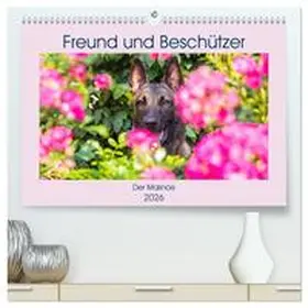 Starick / CALVENDO |  Freund und Beschützer - Der Malinois (hochwertiger Premium Wandkalender 2026 DIN A2 quer), Kunstdruck in Hochglanz | Sonstiges |  Sack Fachmedien
