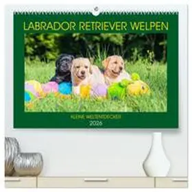 Starick / CALVENDO |  Labrador Retriever Welpen - Kleine Weltentdecker (hochwertiger Premium Wandkalender 2026 DIN A2 quer), Kunstdruck in Hochglanz | Sonstiges |  Sack Fachmedien