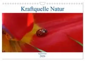 Franz / CALVENDO |  Kraftquelle Natur (Wandkalender 2026 DIN A4 quer), CALVENDO Monatskalender | Sonstiges |  Sack Fachmedien