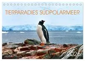 Bergermann / CALVENDO |  Tierparadies Südpolarmeer (Tischkalender 2026 DIN A5 quer), CALVENDO Monatskalender | Sonstiges |  Sack Fachmedien