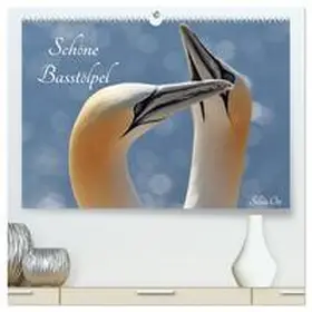 Ott / CALVENDO |  Schöne Basstölpel (hochwertiger Premium Wandkalender 2026 DIN A2 quer), Kunstdruck in Hochglanz | Sonstiges |  Sack Fachmedien