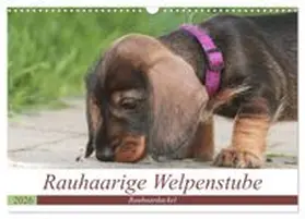 CALVENDO / Mielewczyk |  Rauhaarige Welpenstube (Wandkalender 2026 DIN A3 quer), CALVENDO Monatskalender | Sonstiges |  Sack Fachmedien