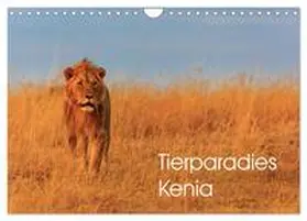 Oberholzer / CALVENDO |  Tierparadies Kenia (Wandkalender 2026 DIN A4 quer), CALVENDO Monatskalender | Sonstiges |  Sack Fachmedien