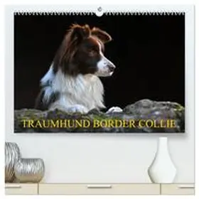 Starick / CALVENDO |  Traumhund Border Collie (hochwertiger Premium Wandkalender 2026 DIN A2 quer), Kunstdruck in Hochglanz | Sonstiges |  Sack Fachmedien