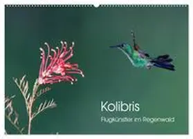 Oberholzer / CALVENDO |  Kolibris - Flugkünstler im Regenwald (Wandkalender 2026 DIN A2 quer), CALVENDO Monatskalender | Sonstiges |  Sack Fachmedien
