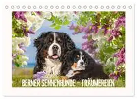 Starick / CALVENDO |  Berner Sennenhunde - Träumereien (Tischkalender 2026 DIN A5 quer), CALVENDO Monatskalender | Sonstiges |  Sack Fachmedien