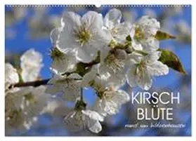 Löwer / CALVENDO |  Kirschblüte rund um Witzenhausen (Wandkalender 2026 DIN A2 quer), CALVENDO Monatskalender | Sonstiges |  Sack Fachmedien