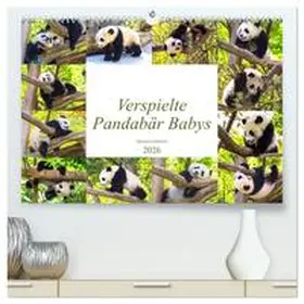 Gatterwe / CALVENDO |  Pandabär Babys (hochwertiger Premium Wandkalender 2026 DIN A2 quer), Kunstdruck in Hochglanz | Sonstiges |  Sack Fachmedien