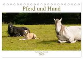 Bölts / CALVENDO |  Pferd und Hund - Vierbeinige Freunde (Tischkalender 2026 DIN A5 quer), CALVENDO Monatskalender | Sonstiges |  Sack Fachmedien