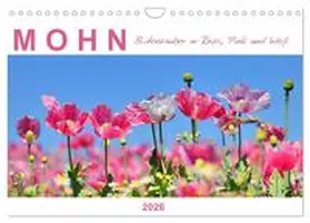 Löwer / CALVENDO |  Mohn, Blütenzauber in Rosa, Pink und Weiß (Wandkalender 2026 DIN A4 quer), CALVENDO Monatskalender | Sonstiges |  Sack Fachmedien