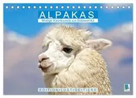 CALVENDO |  Alpakas: Wollige Kleinkamele aus Südamerika - Edition lustige Tiere (Tischkalender 2026 DIN A5 quer), CALVENDO Monatskalender | Sonstiges |  Sack Fachmedien