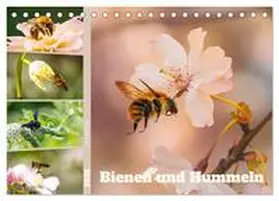 Maas / CALVENDO |  Bienen und Hummeln in Aktion (Tischkalender 2026 DIN A5 quer), CALVENDO Monatskalender | Sonstiges |  Sack Fachmedien