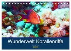 CALVENDO / Hess |  Wunderwelt Korallenriffe (Tischkalender 2026 DIN A5 quer), CALVENDO Monatskalender | Sonstiges |  Sack Fachmedien