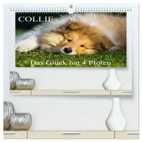 Starick / CALVENDO |  Collie - Das Glück hat 4 Pfoten (hochwertiger Premium Wandkalender 2026 DIN A2 quer), Kunstdruck in Hochglanz | Sonstiges |  Sack Fachmedien