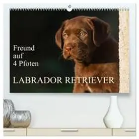 Starick / CALVENDO |  Freund auf 4 Pfoten - Labrador Retriever (hochwertiger Premium Wandkalender 2026 DIN A2 quer), Kunstdruck in Hochglanz | Sonstiges |  Sack Fachmedien